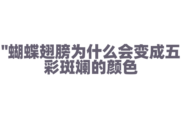 "蝴蝶翅膀为什么会变成五彩斑斓的颜色？"